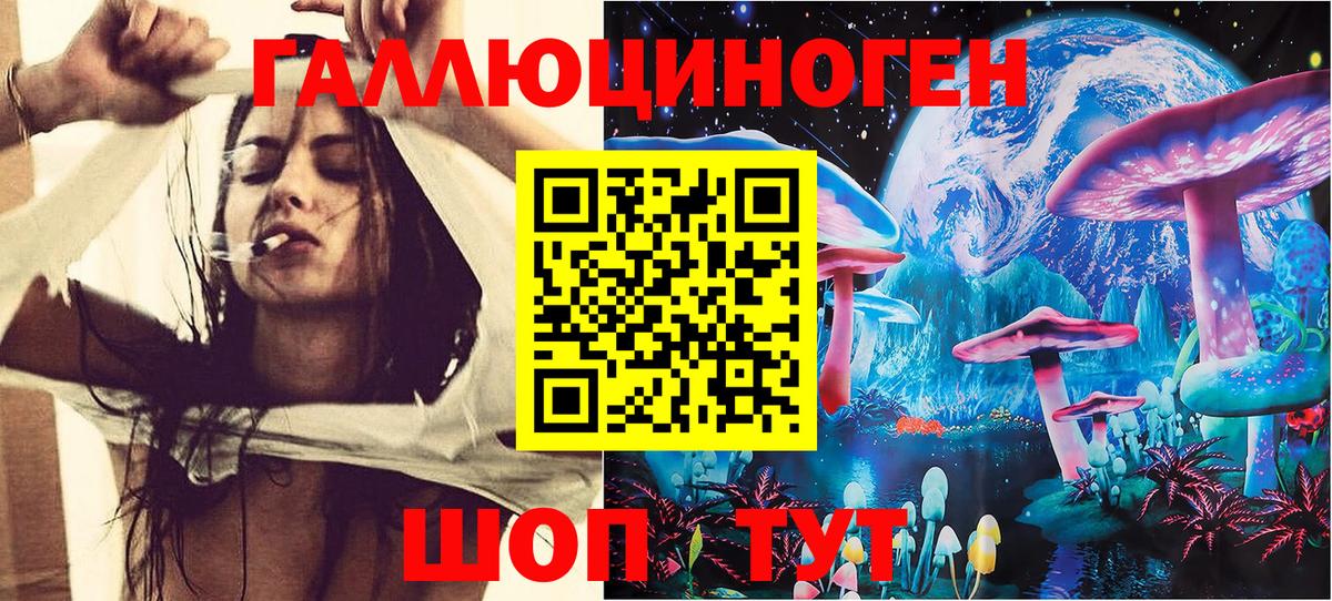 Галлюциногенные грибы прущие грибы Славянск-на-Кубани